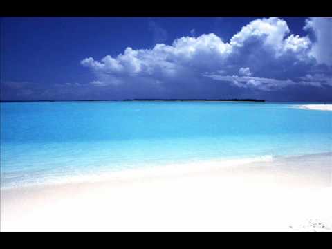 The Fantastic Oceans- Sunshine