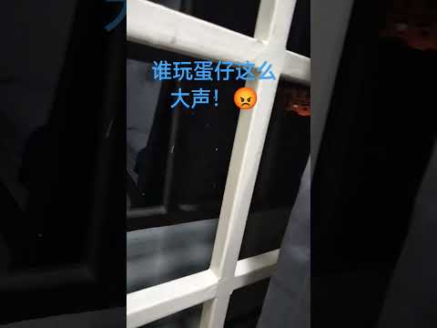 吵死了！