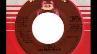 Aquarian Dream  Phoenix