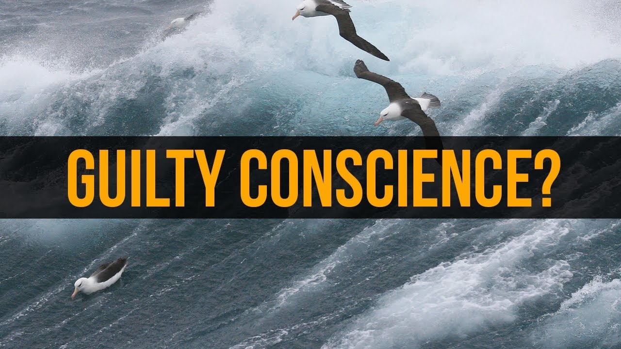 Walking Through Life with a Guilty Conscience