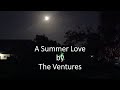 The Ventures - A Summer Love