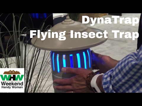 DynaTrap XL and Ultralight Bug and Flying Insect Traps | Weekend Handy Woman