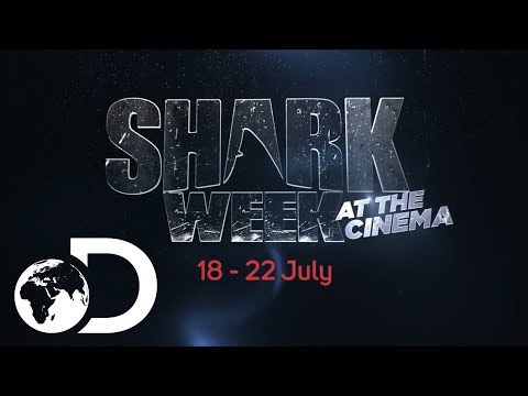 Shark Week at the Cinema | Discovery