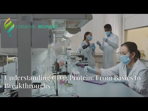 Understanding CD33 Protein: From Basics to Breakthroughs