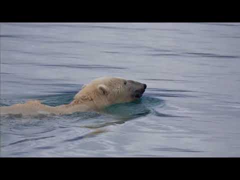 FPB 83 Wind Horse: Magdelena Svalbard Slideshow