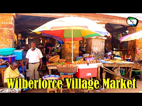 Talk To The Camera - Wilberforce Village Community Marketplace - Sierra Network