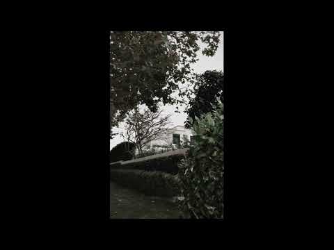 Chvrliebrowwn - Don’t Worry