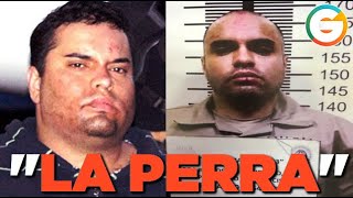 Le &quot;dieron piso&quot; a Filiberto Parra ‘La Perra’  #Tijuana