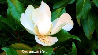 Έντεχνα... Σαν συναυλία 1.