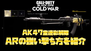 【CoD:BOCW:PC】AK47金迷彩獲得！ARの強い撃ち方は？