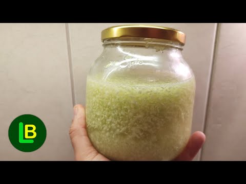 ČUVENI DOKTOR OTKRIVA: Ovo je prirodni lek za HELIKO BAKTERIJU i ČIR NA ŽELUCU