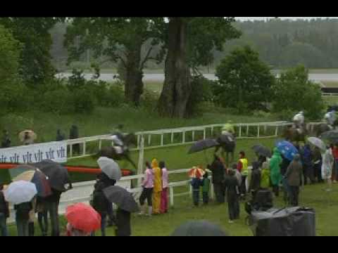 Svenskt Grand National 2009