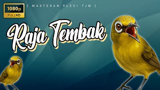 Download lagu 🔴 LIVE Masteran Pleci Nembak Terbaru Raja Tembak !!! mp3