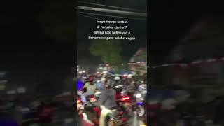 Download lagu knp hewan kurban harus jantan? | story wa anak motor mp3
