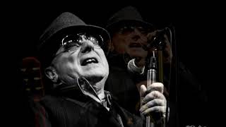 Van Morrison - In The Afternoon - ect...