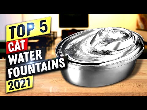 Best Cat Water Fountain 2022 | Top 5 Cat Water Fountains