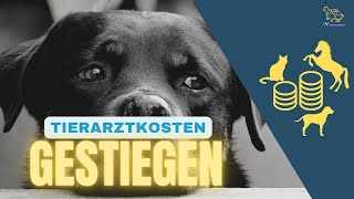 Starker Preisanstieg bei Tierarztkosten  - lohnt sich eine Tierkranken