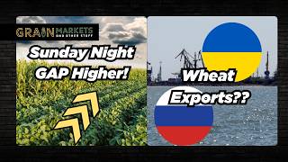 Corn/Soybeans GAP Higher to Start the Week + Russia/Ukraine Export Disruption Update