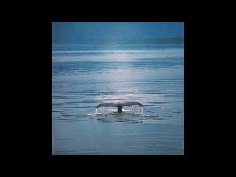 [ FREE ] Bushi & Laylow Type Beat | Avènement