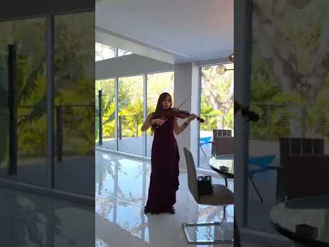 Promotional video thumbnail 2 for Sophia's Symphony