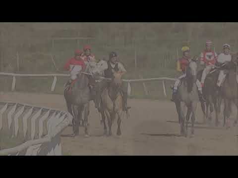 CARRERAS SINT FLORIDA - 211029 c06 1° VANIDOSO