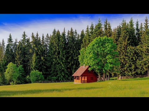 Kingdom Melodies: JW Songs and Beautiful nature