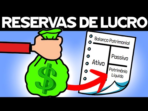RESERVA de LUCROS / Destinação do RESULTADO