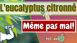 N'ayez plus mal! Comment soulager la douleur et les inflammations grâce à l'E.citronné