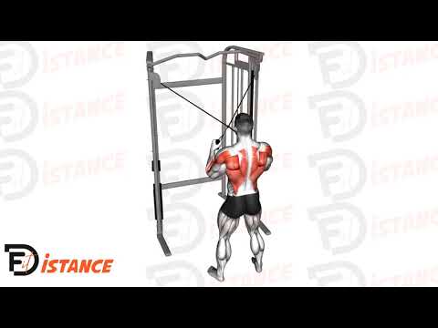 Tirage en croix à la poulie - Exercice Tirage en croix à la poulie en vidéo