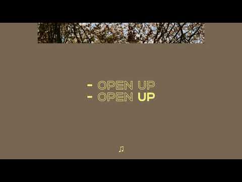 wes park - open up (lyrics)