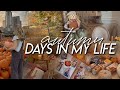 AUTUMN DAYS Fall Trader Joe S Haul Decorating Our Porch Scrapbooking Keeping It Cozy