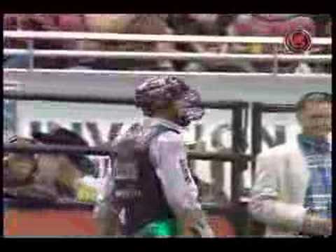 Wiley Petersen Vs. Mud Wasp