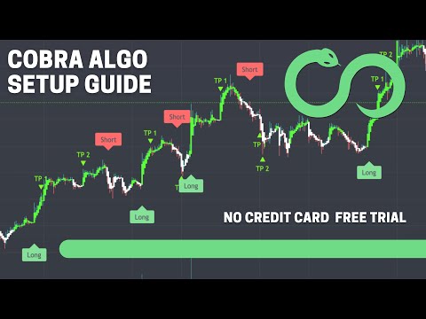 Cobra Algo | 2023 Setup Guide | Realtime Signals + More