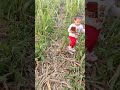 Mera Gaon Mera Desh ️