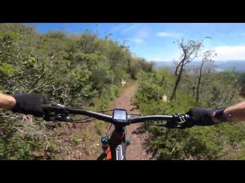 Downcountry Dream Build: The Following by Evil Bikes