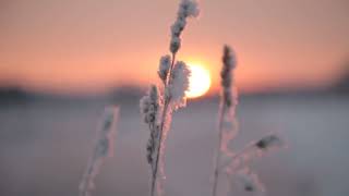 Uttara Kuru – Winter Dance