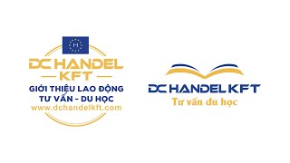 CÔNG TY DC HANDEL KFT - CÁC LĨNH VỰC HOẠT ĐỘNG CHÍNH