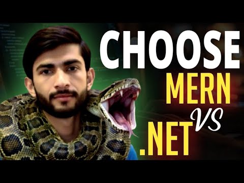 Which Programming Language Has Future Scope Python Vs Dotnet