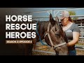 Horse Rescue Heroes | Season 2 | Episode 4 | Auction Rescue