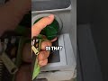 Check This Before You Use A Cash Machine😨