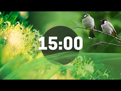 Nature Sounds / Bird Signing. 15 Minute Relaxing Timer