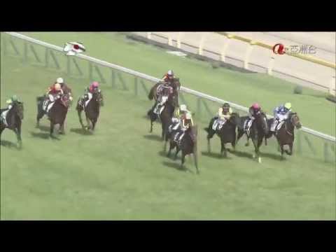 2015 日本打吡大賽 東京優駿 大鳴大放 ドゥラメンテ 杜滿萊