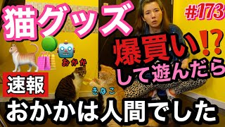 速報⚠️ウチの猫おかかは人間でした?猫グッズ爆買いして遊び倒したけどこの有様?なんでなの？ウチだけ？