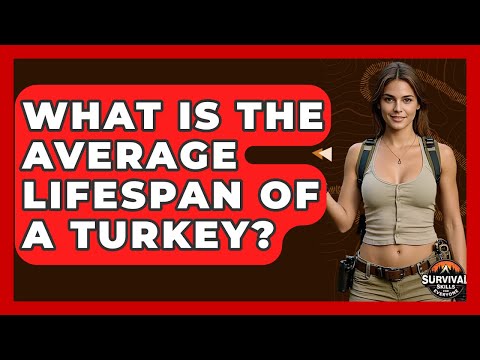 What Is The Average Lifespan Of A Turkey? - Survival Skills for Everyone