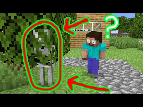 Monster School : Hide and Seek - Funny Minecraft Animation