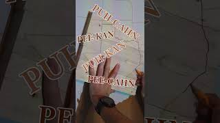 Making Texas out of Pecan Wood | Official State Tree Map #shorts #trees #wood