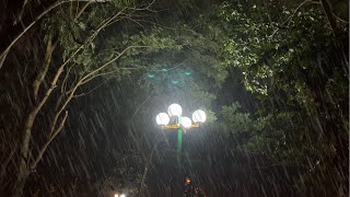 10 Hours of Heavy Rain Sounds &amp; Rolling Thunder, Distant Thunder - Continuous Rain &amp; Thunderstorm