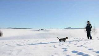 Iron and Wine - Love and some verses