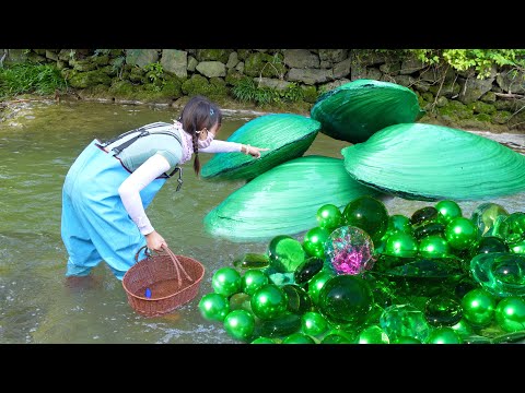 🍏🍏Marine Marvel: Teenager's Chance Encounter Leads to Discovery of Unusual Pearl-Stuffed Clam