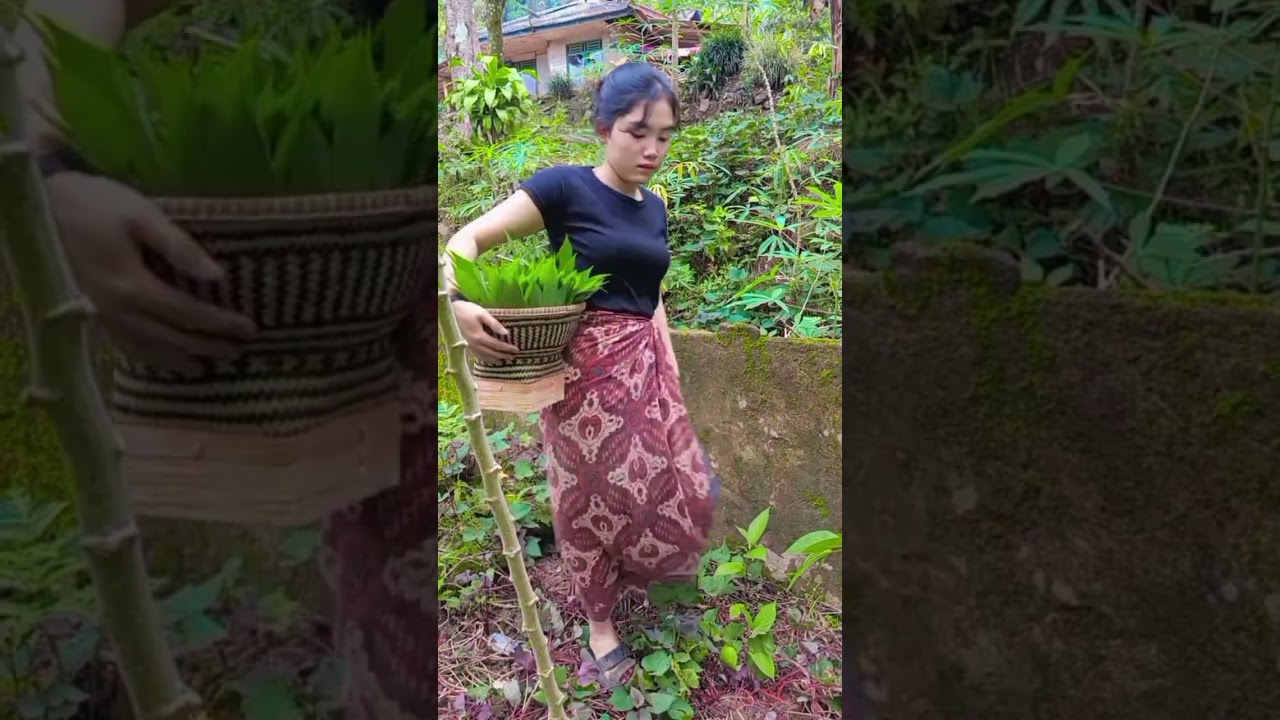 Picking the abundant fresh vegetables in the garden next to the house #yukeyulianti #Kumahadarama...